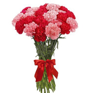 31 carnations in a bouquet