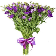 35 violet eustoma