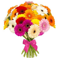 41 gerbera mix