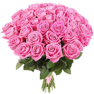 41 pink rose