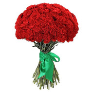 51 red carnations