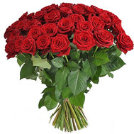 71 red rose