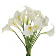 Snow white callas in bouquet