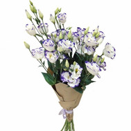 Bouquet of 9 lisianthus