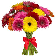 Colorful bouquet of gerberas