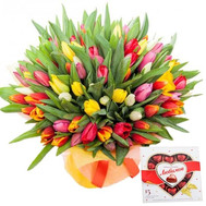 101 tulip and candy