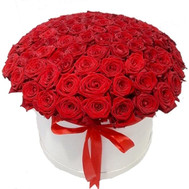 101 red roses in a box