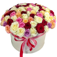 101 roses in a box