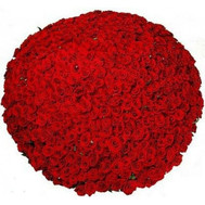 1001 rose in bouquets