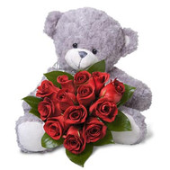 13 red roses and a bear