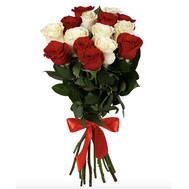 15 imported roses