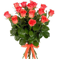 15 orange roses