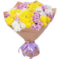 11 multi-colored chrysanthemums