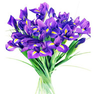 19 irises