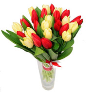 25 white and red tulips