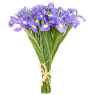 25 irises
