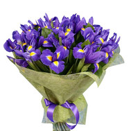 35 irises