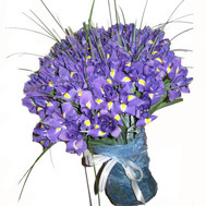 75 irises