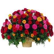 Large basket of roses