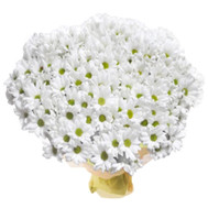Large bouquet of chrysanthemums