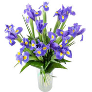 Bouquet of irises