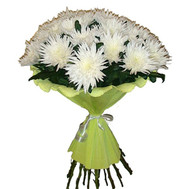 Bouquet of white single-headed chrysanthemums