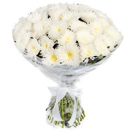 A bouquet of large chrysanthemums