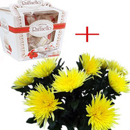 Bouquet of chrysanthemums and rafaello