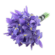 Bouquet of irises