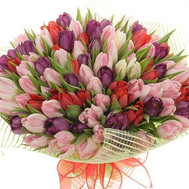 Bouquet of 151 tulips