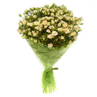 Bouquet of 25 roses