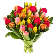 Bouquet of Tulips