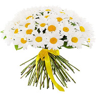 Bouquet of 51 chamomiles