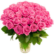 Bouquet of 55 pink roses