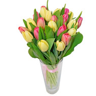 Delicate bouquet of tulips