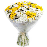 Bouquet of white and yellow chrysanthemums