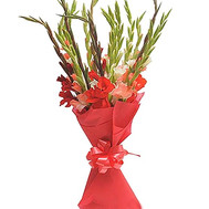 Bouquet from gladiolus in paper