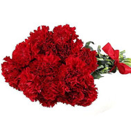 Bouquet of carnations