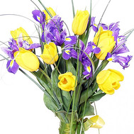 Bouquet of irises and yellow tulips