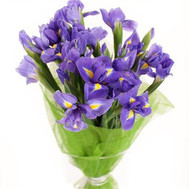 Bouquet of 17 blue irises