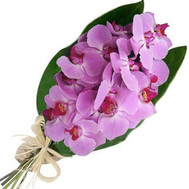 Bouquet of pink orchids