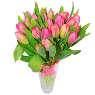 Bouquet of pink tulips