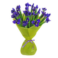 Bouquet of irises