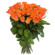 Bouquet of orange roses
