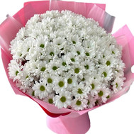 Bouquet of chamomiles