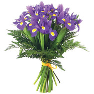 Bouquet of irises