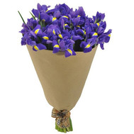 Bouquet of irises