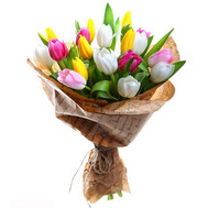 Bouquet of Tulips