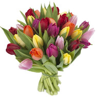 Bouquet of tulips with delivery