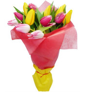 Bouquet of tulips in the package